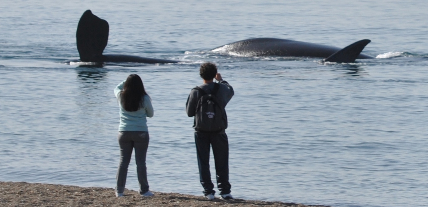 Costa Atlántica — Puerto Madryn